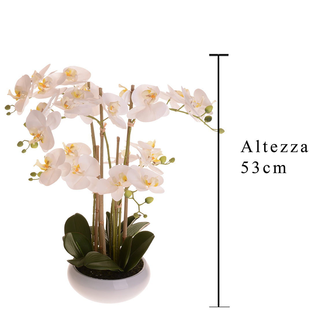 Pianta di orchidea artificiale phalaenopsis vaso • 53 cm