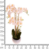 Pianta di orchidea artificiale phalaenopsis vaso • 53 cm