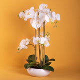 Pianta di orchidea artificiale phalaenopsis vaso • 53 cm