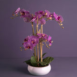 Pianta di orchidea artificiale phalaenopsis vaso • 53 cm