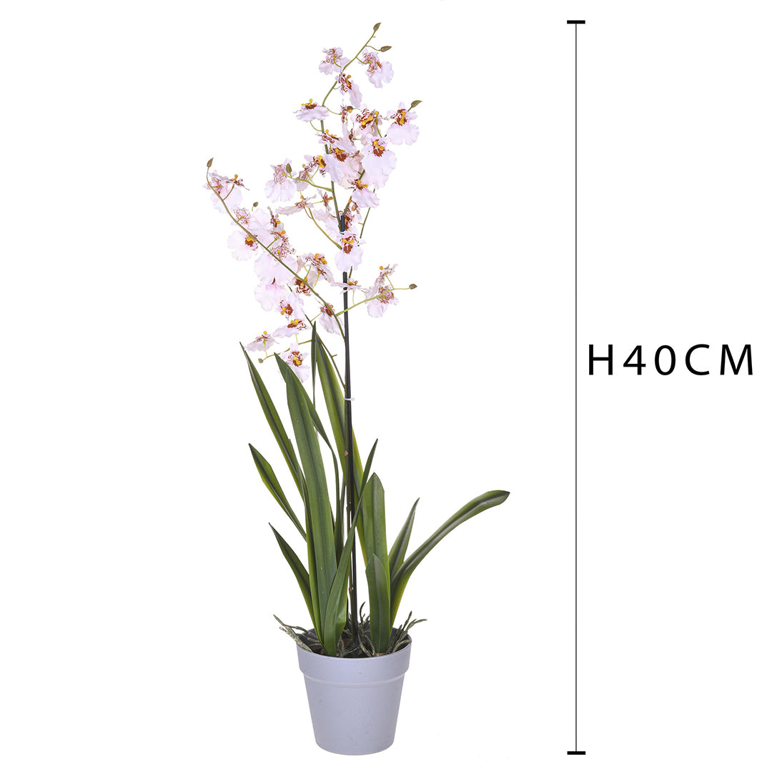 Orchidea artificiale oncidium con vaso • 40 cm