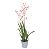 Orchidea artificiale oncidium con vaso • 40 cm