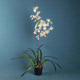 Orchidea artificiale oncidium con vaso • 40 cm