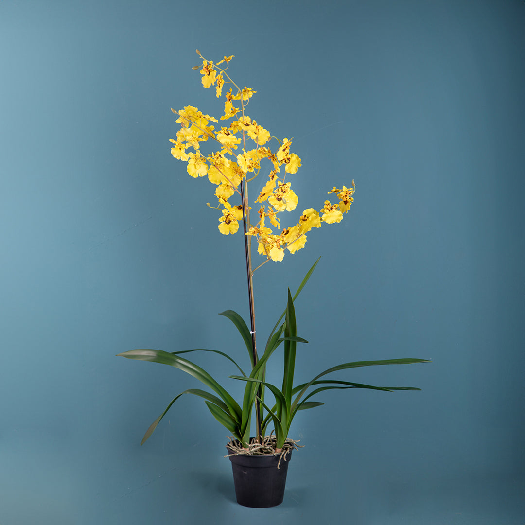 Orchidea artificiale oncidium con vaso • 40 cm