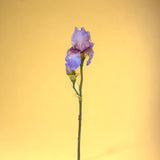 3 Pezzi • Fiore di Iris artificiale composto da 2 fiori • 84 cm