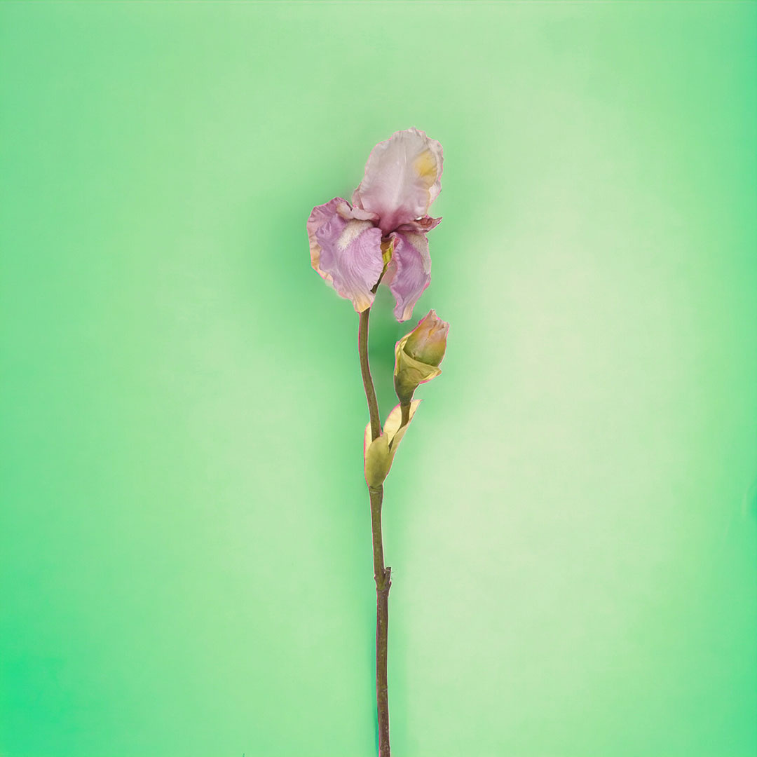 3 Pezzi • Fiore di Iris artificiale composto da 2 fiori • 84 cm
