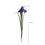 Iris Singolo • 70 cm