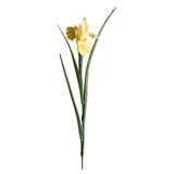 Iris Singolo • 70 cm