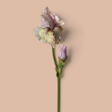 6 Pezzi • Iris con 1 fiore e 1 boccio •  79 cm