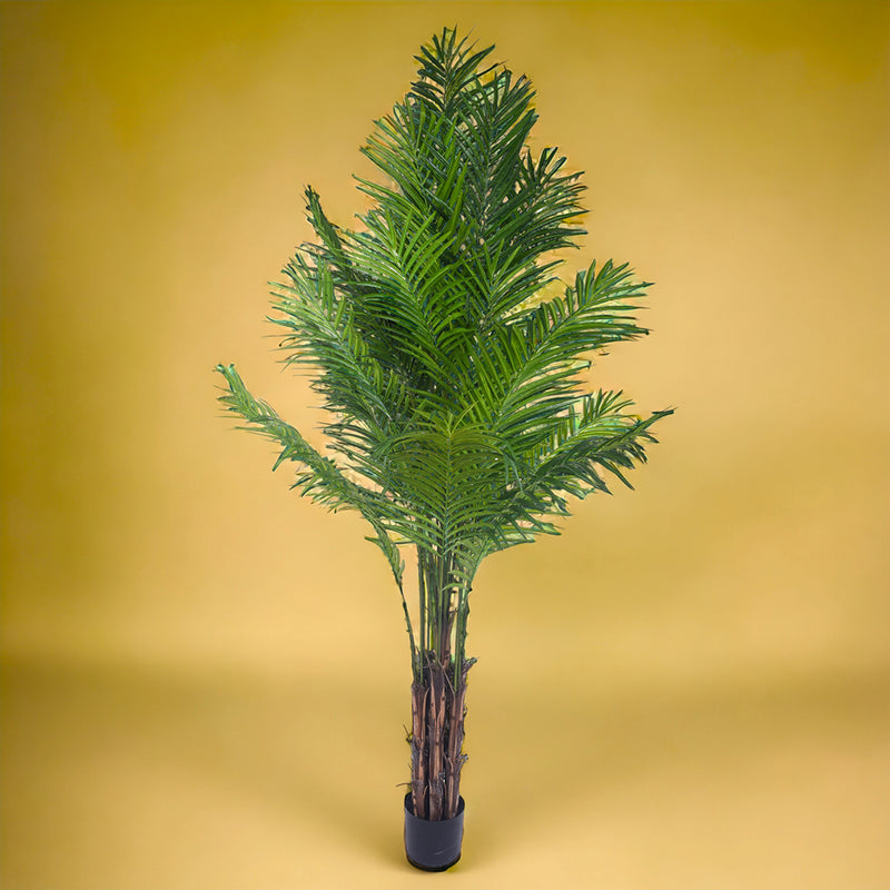 Verde artificiale Kenzia artificiale con vaso nero  • 210 cm