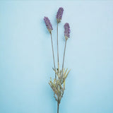 4 Pezzi • Lavanda artificiale con 3 fiori • 62 cm