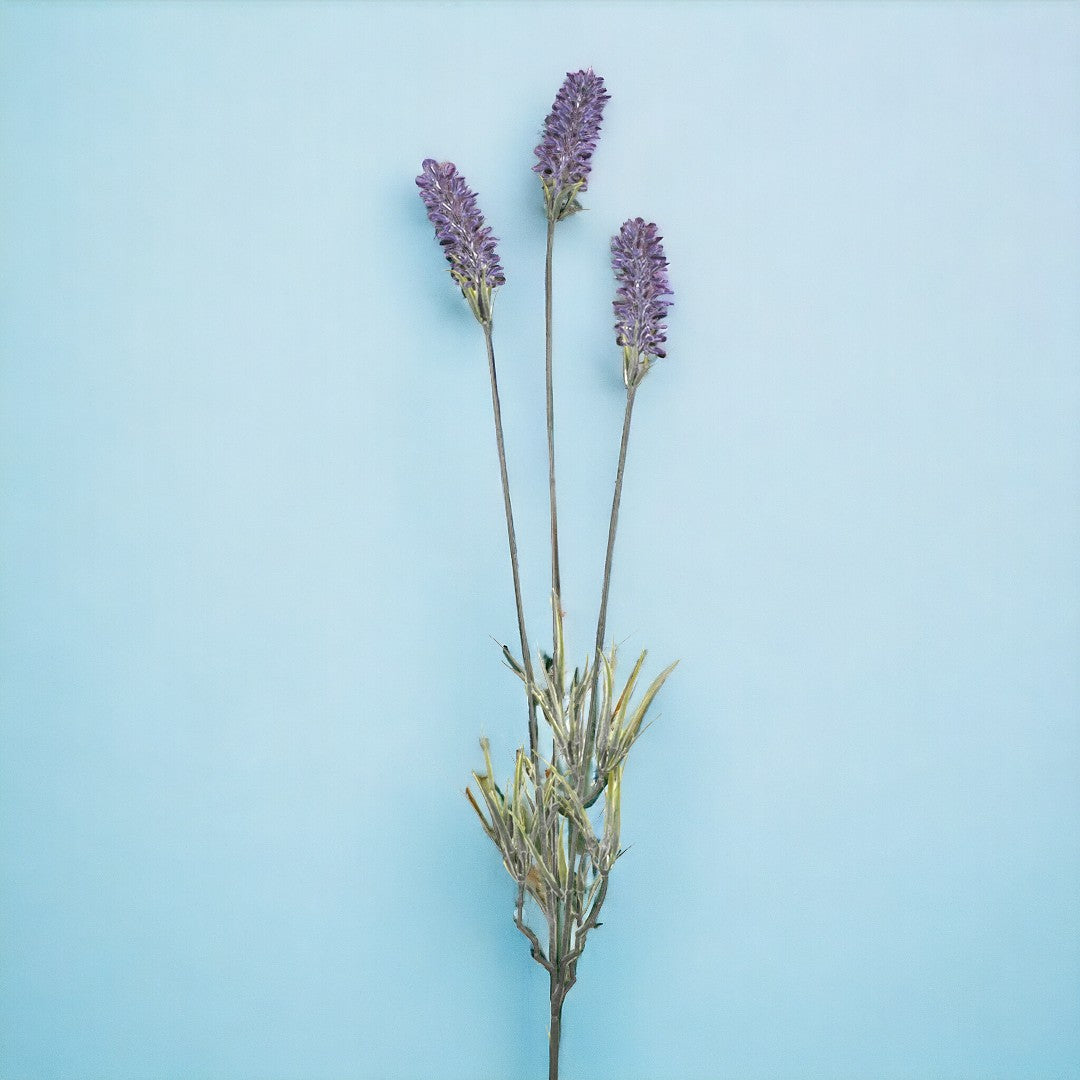 12 Pezzi • Lavanda artificiale con 3 fiori • 62 cm