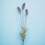 12 Pezzi • Lavanda artificiale con 3 fiori • 62 cm