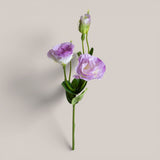 Lisianthus 2 Fiori/1 Boccio • 43 cm