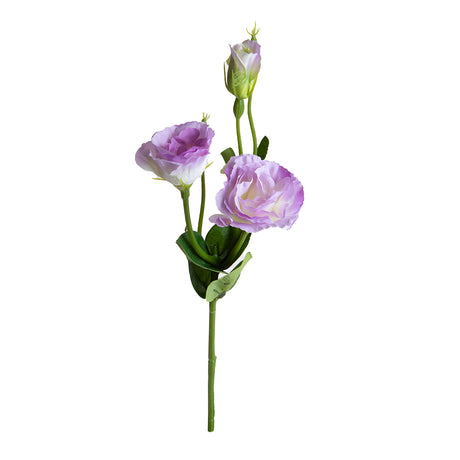 Lisianthus 2 Fiori/1 Boccio • 43 cm