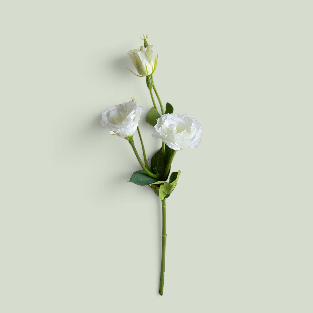 12 Pezzi • Lisianthus 2 Fiori/1 Boccio • 43 cm