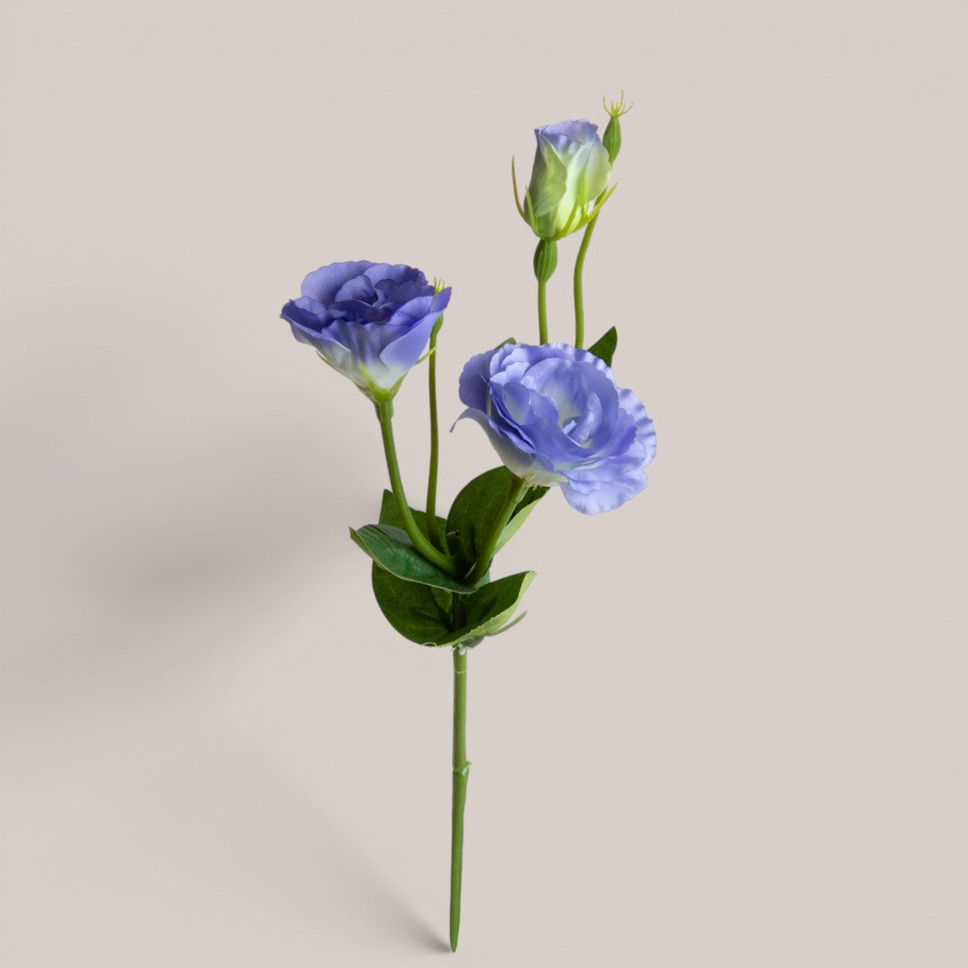 Lisianthus 2 Fiori/1 Boccio • 43 cm