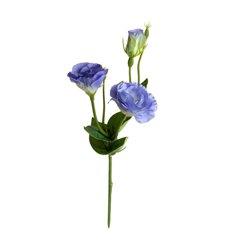 Lisianthus 2 Fiori/1 Boccio • 43 cm