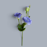 12 Pezzi • Lisianthus 2 Fiori/1 Boccio • 43 cm