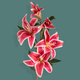 2 Pezzi • Lilium composto da 5 fiori • 100 cm