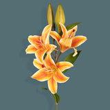 2 Pezzi • Fiore di Lilium artificiale stargaze 3 fiori • 67 cm