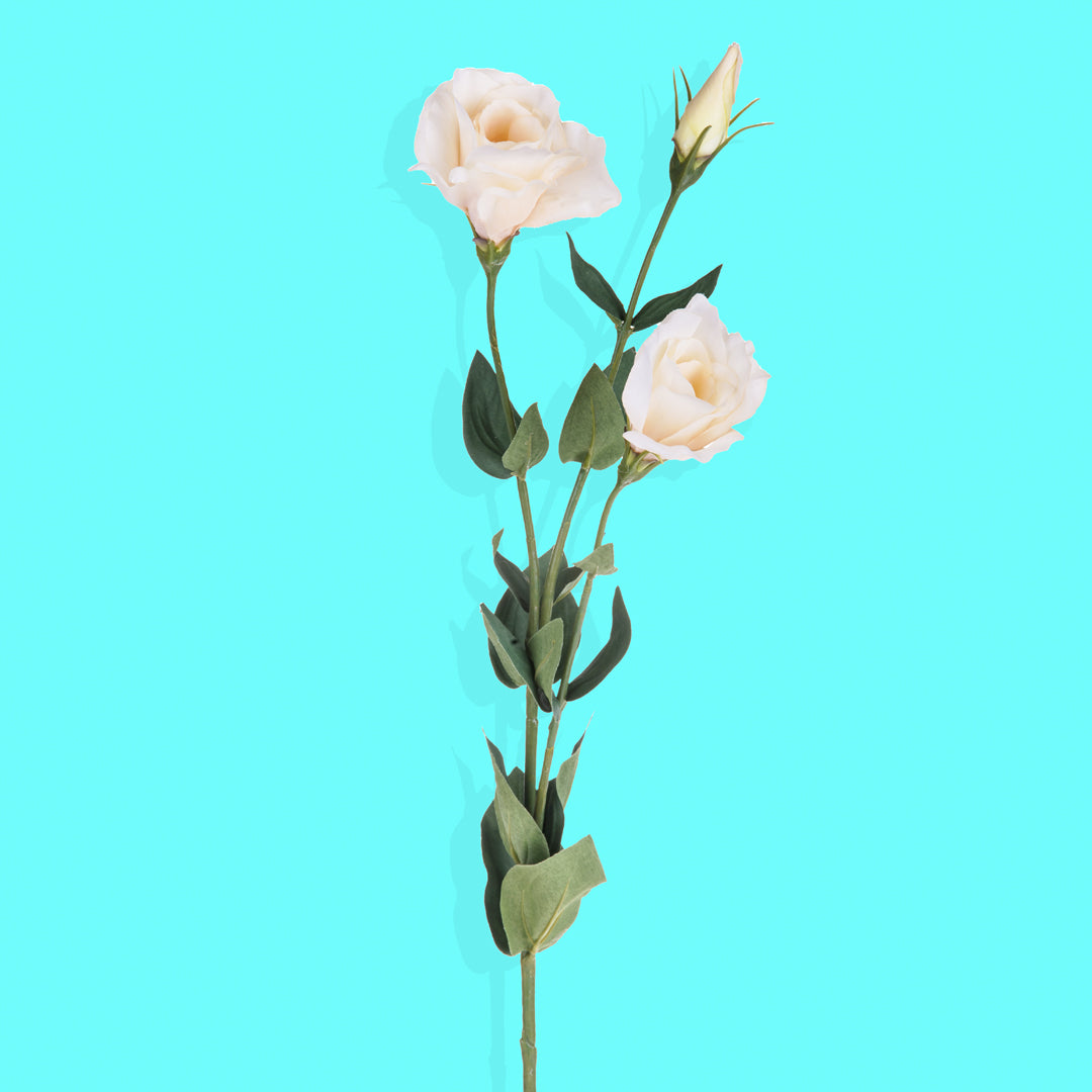 8 Pezzi • Ramo camelia artificiale • 75 cm