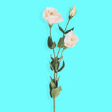 8 Pezzi • Ramo camelia artificiale • 75 cm