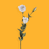 8 Pezzi • Tiny fiore con foglia artificiale • 75 cm