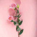 8 Pezzi • Bouganville artificiale • 75 cm