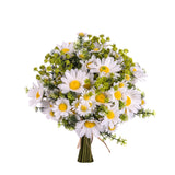 Mazzetto Margherite • 35 cm