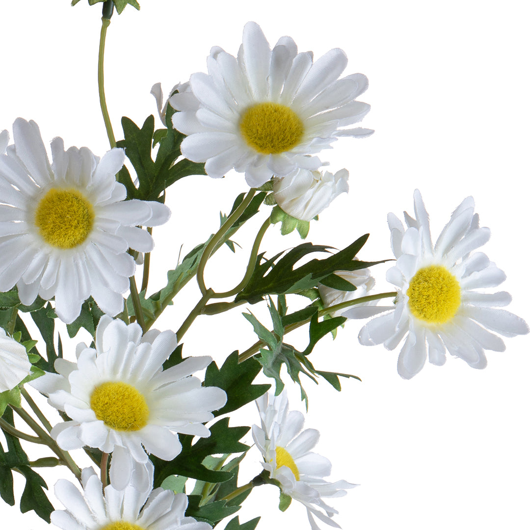 Margherita per 9 • 62 cm