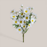 Mazzo Margherite per 24 • 45 cm