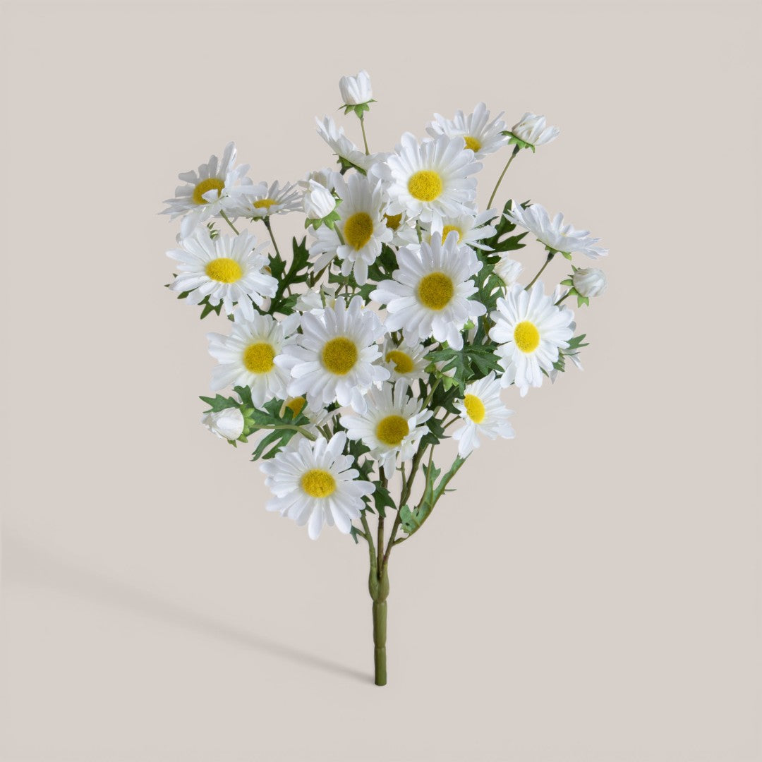 Mazzo Margherite per 24 • 45 cm