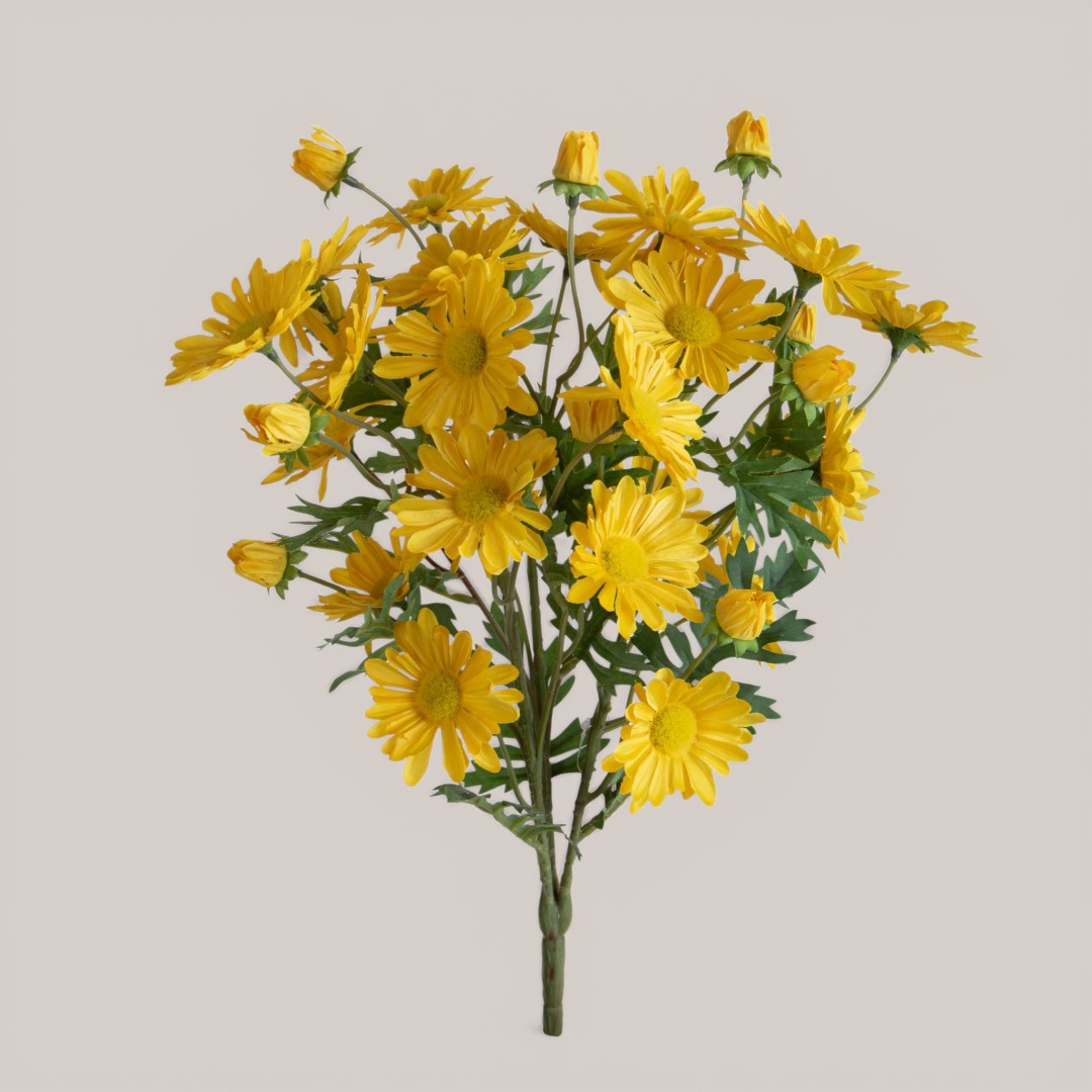 Mazzo Margherite per 24 • 45 cm
