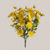 Mazzo Margherite per 24 • 45 cm