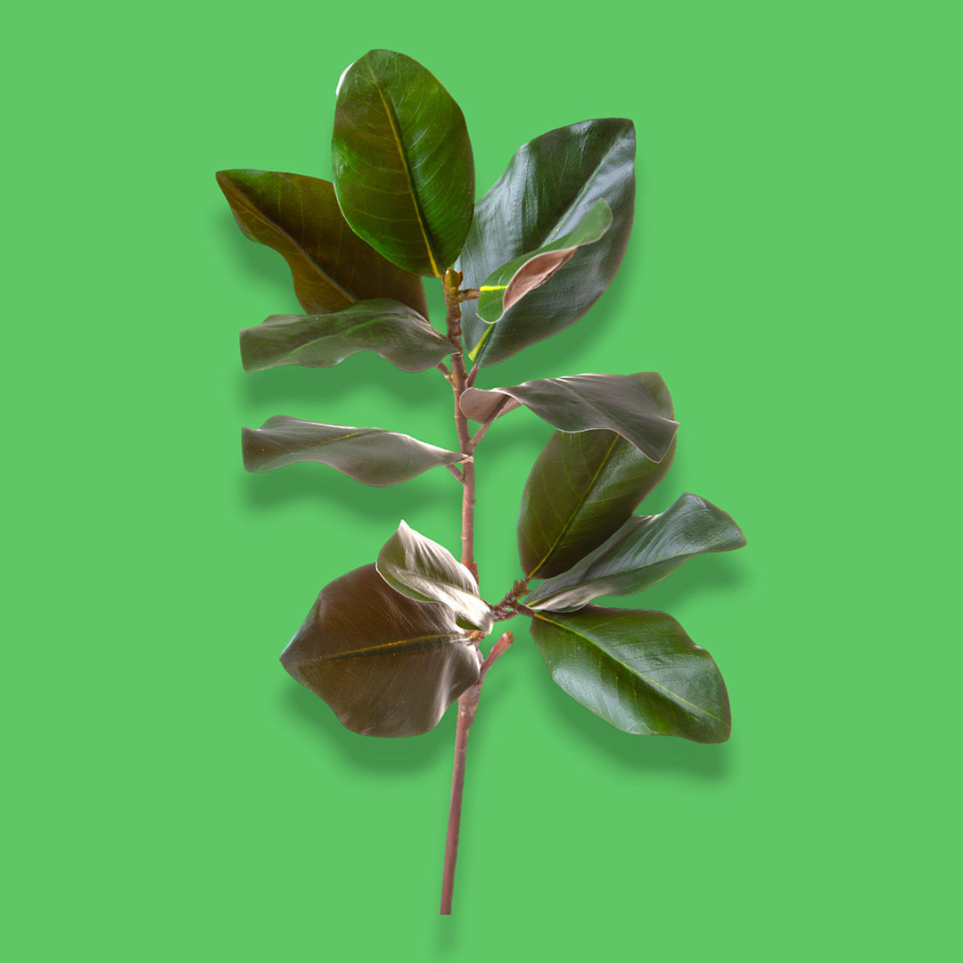 2 Pezzi • Magnolia ramo artificiale •  99 cm