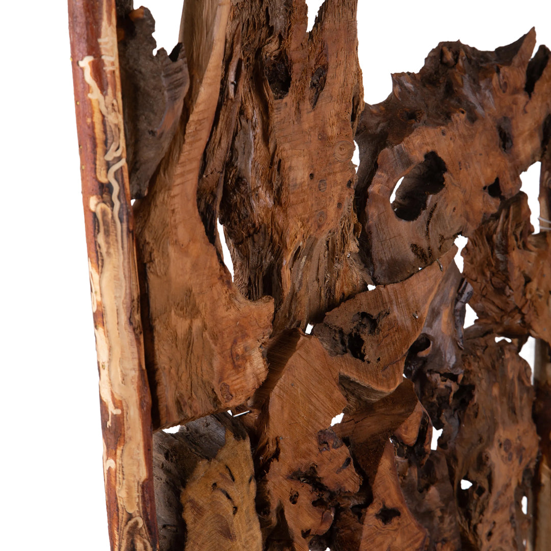 Separe' Stag Horn  • 156 cm
