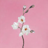 Fiore di Magnolia artificiale per 2 fiori • 106 cm