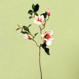 Magnolia giapponese artificiale • 86 cm