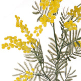 3 Pezzi • Ramo di mimosa artificiale • 85 cm