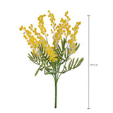Mimosa Mazzolino • 37 cm