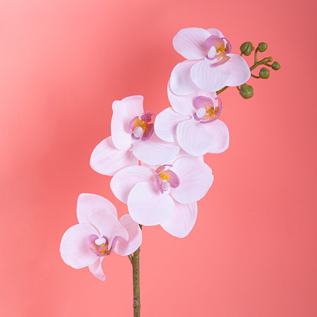 6 Pezzi • Mini Orchidea artificiale • 40 cm