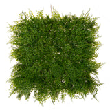 Matonella mix felce • 50X50cm
