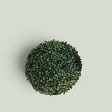 3 Pezzi • Sfera D. Dichondra • 30 cm