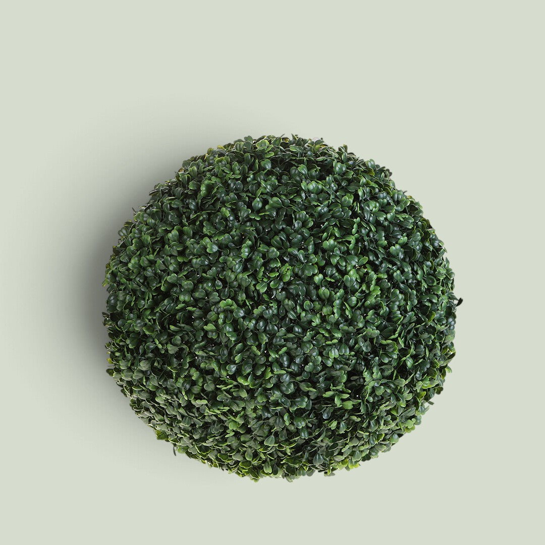 2 Pezzi • Sfera D. Dichondra • 40 cm