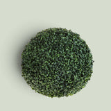 2 Pezzi • Sfera D. Dichondra • 40 cm