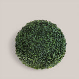 Sfera D. Dichondra • 40 cm