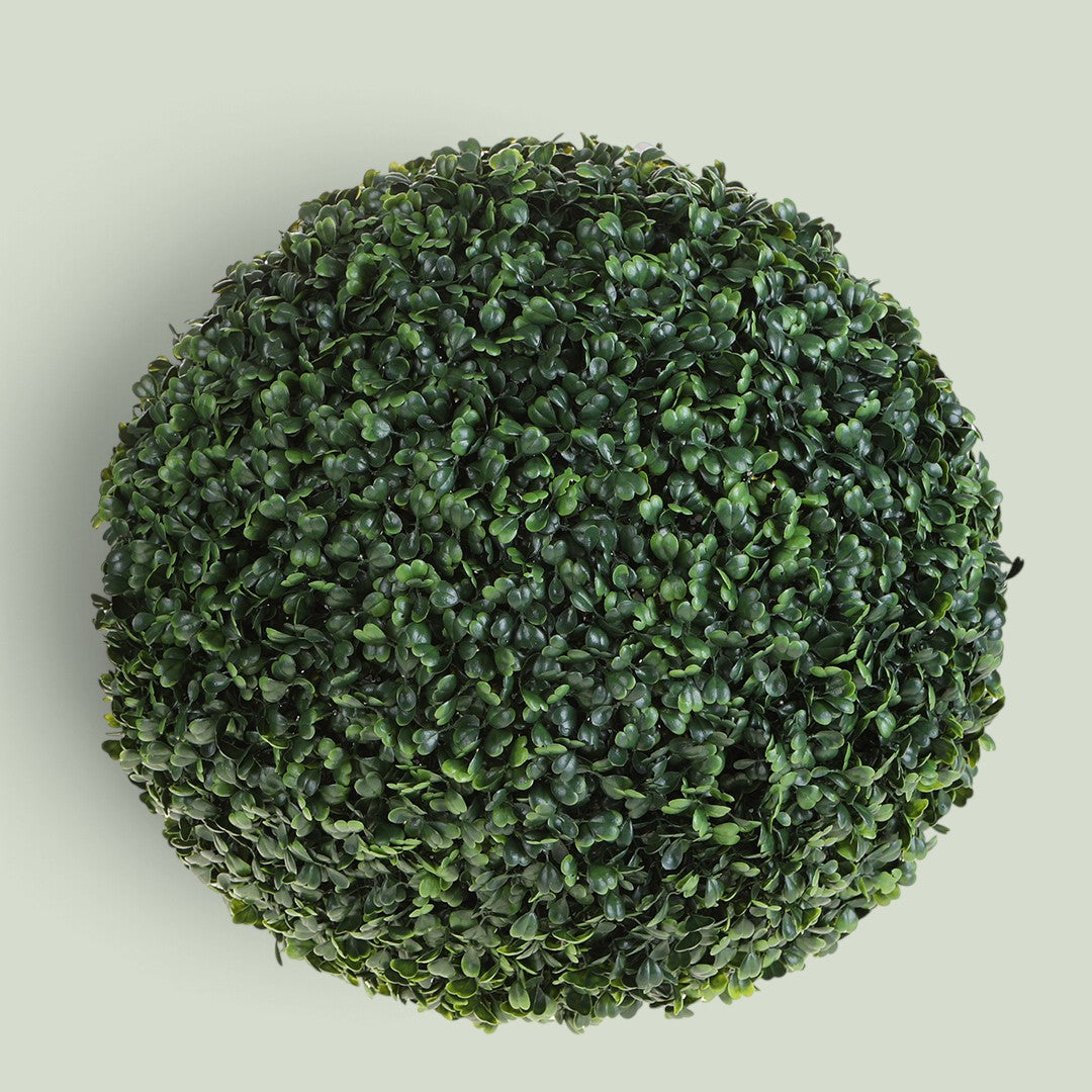Sfera D. Dichondra • 50 cm