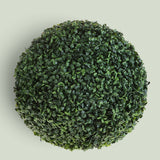 Sfera D. Dichondra • 50 cm