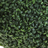Sfera D. Dichondra • 50 cm